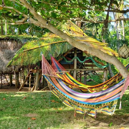 Derek'S Place Eco-Lodge Little Corn Island Ngoại thất bức ảnh