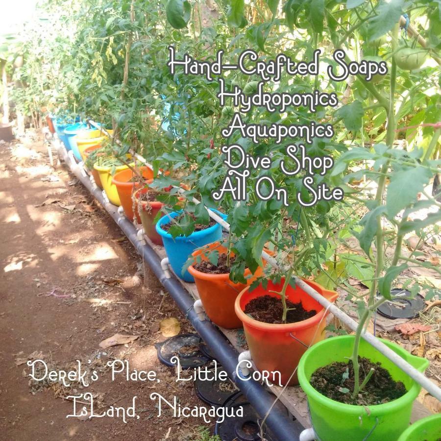 Derek'S Place Eco-Lodge Little Corn Island Ngoại thất bức ảnh