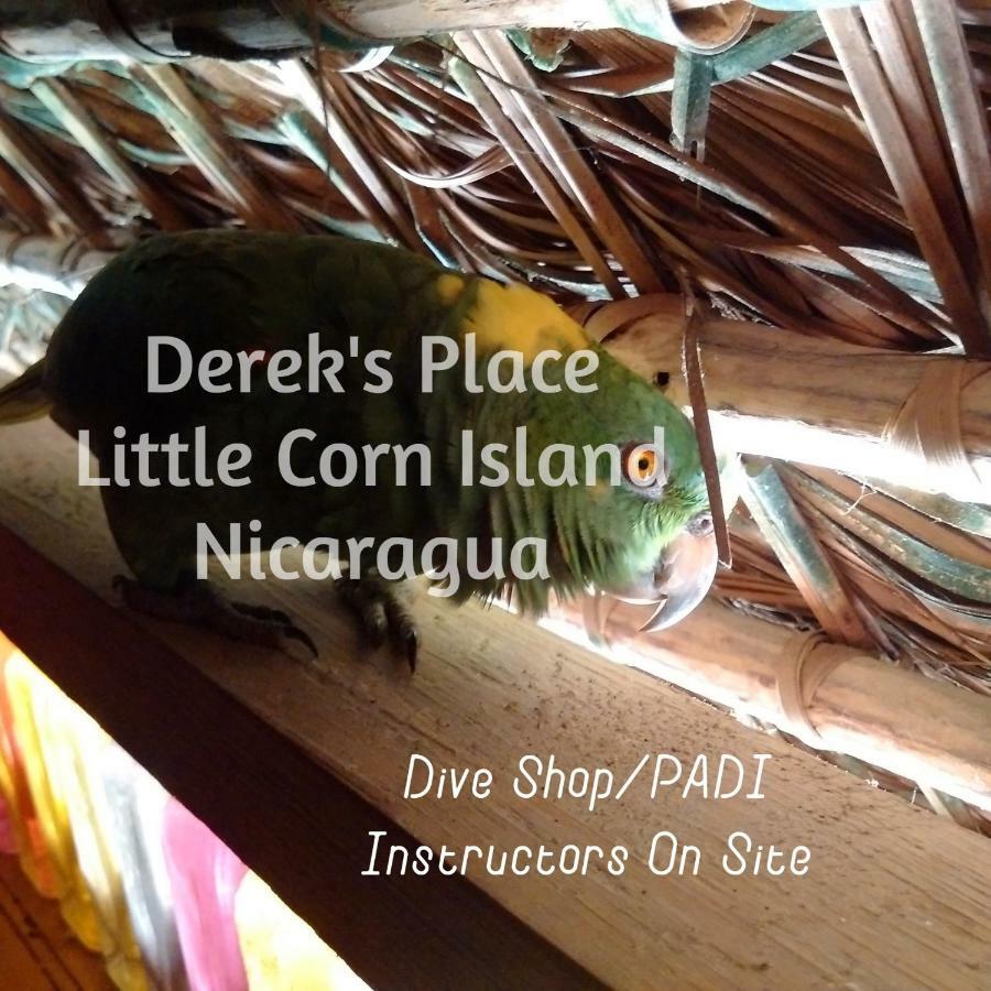 Derek'S Place Eco-Lodge Little Corn Island Ngoại thất bức ảnh